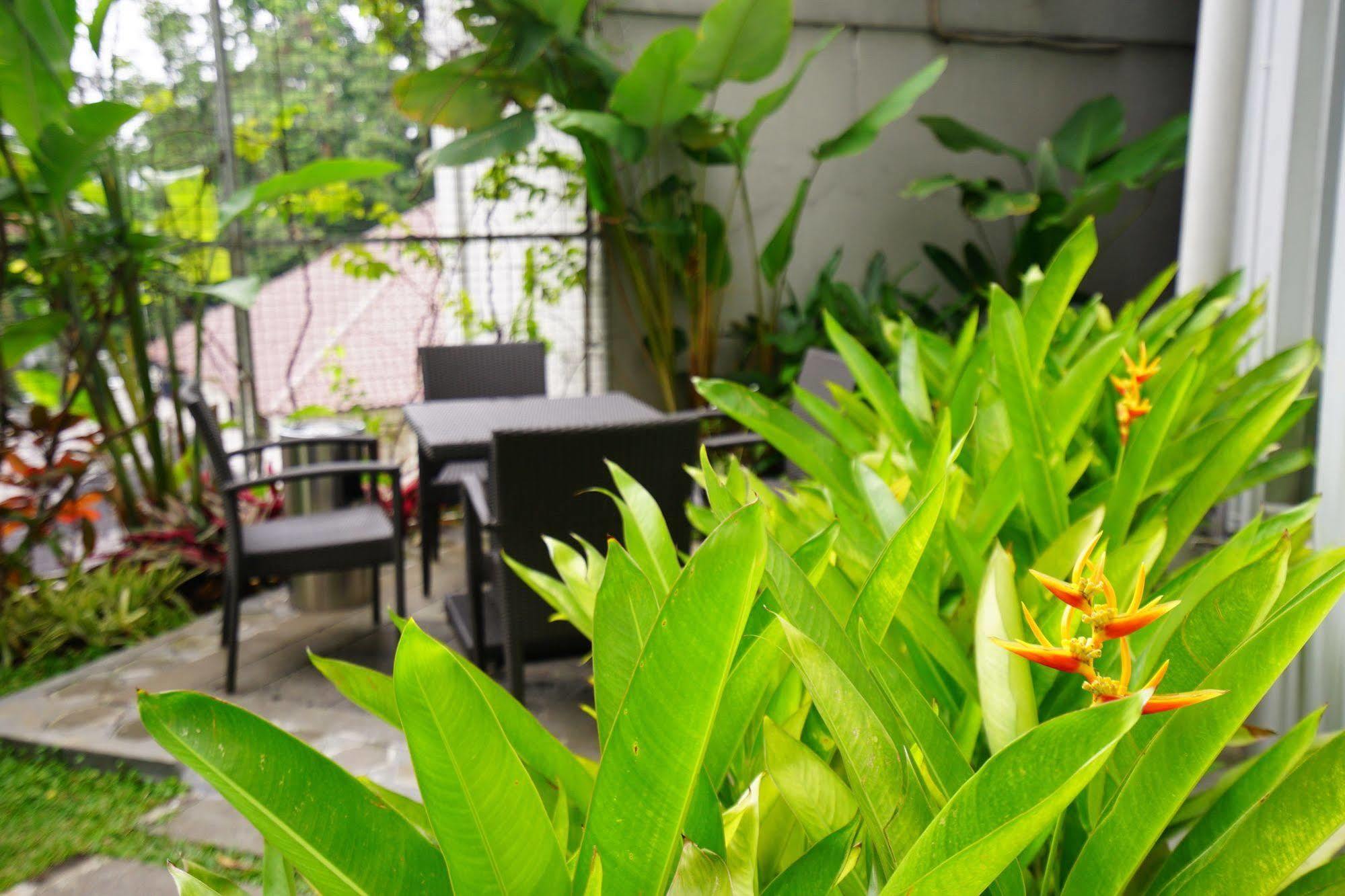 Meize Hotel 3*
